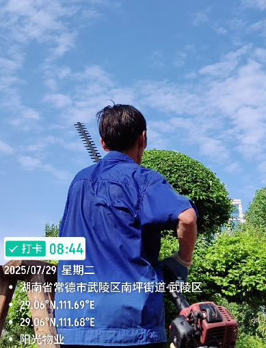 常德物业管理,物业企业,阳光物业