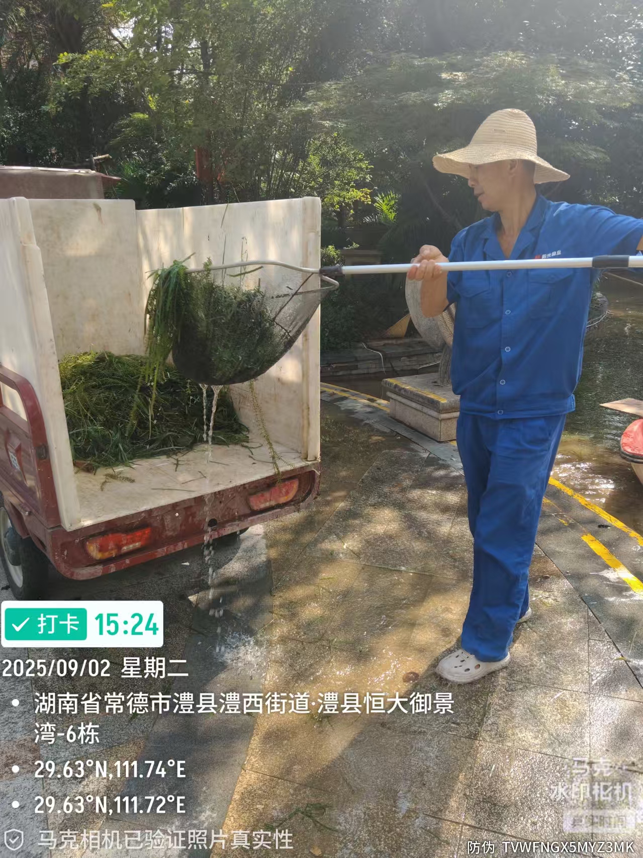 常德物业管理,物业企业,阳光物业